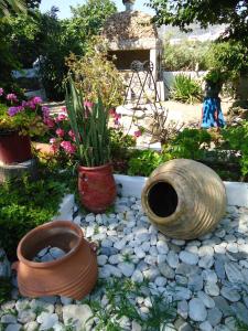 a garden with several vases and plants on the ground at Pension Sofia Amorgos-Katapola in Katapola