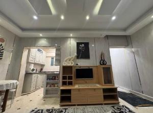 アレクサンドリアにあるLuxurious Downtown Apartmentのリビングルーム(テレビ付)、キッチン +20枚の写真