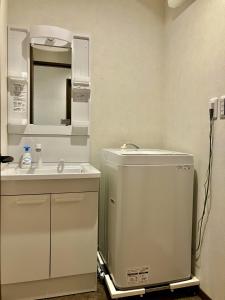 a small bathroom with a sink and a mirror at HAOSTAY Villa Oishi Park in Fujikawaguchiko
