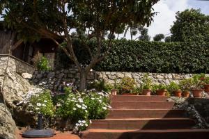 una pared de piedra y escaleras con un árbol y flores en Villa Ida Bed & Breakfast, en Terracina