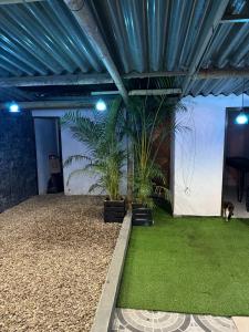 Zahrada ubytování El Tikki Haus
