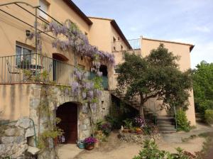 a building with wisteria on the side of it at Apartamento El Suro in Agullana