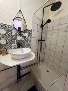 a bathroom with a sink and a mirror and a shower at L'appart' Toloman - Cozy et Spacieux à FDF in Fort-de-France