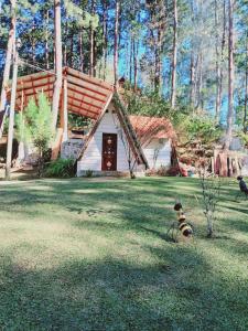 a dog standing in front of a house at Samantha Hotel Campestre in Santa Cruz Verapaz