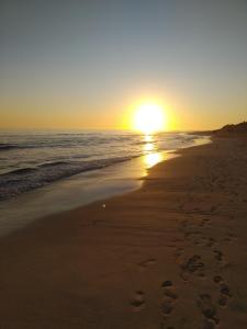 Příroda nedaleko prázdninového domu