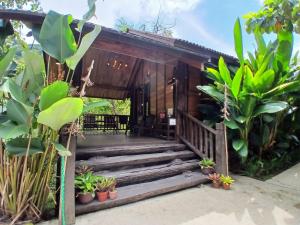 Zahrada ubytování Naluyan Jungle Lodge