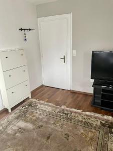 TV a/nebo společenská místnost v ubytování Zurich 2 rooms full lakeview, unique historic house share bath 40 m2 + 13 fotografií