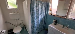 ein Badezimmer mit Toilette und Duschvorhang in der Unterkunft Coconut Cottage Christmas Island in Flying Fish Cove + 8 Fotos