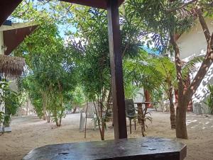 Fotografie z fotogalerie ubytování Seaview by Ukulhas v destinaci Filitheyo