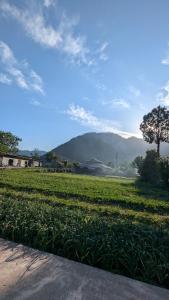 Příroda nedaleko vily