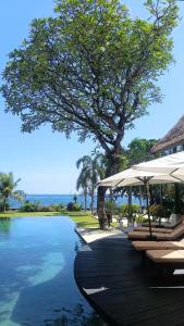 a pool with chairs and umbrellas and a tree at Villa Terang Bulan - luxury private beachfront villa in Pengastulan