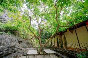 a group of benches sitting under a tree next to a building at Ali Garden Homestay Trang An Ninh Bình in Xuân Sơn