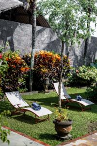 Zahrada ubytování Casa Dewa Suite Villa Ubud