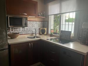 ウエルバにあるElSoldeLolaのシンクと電子レンジ付きのキッチン