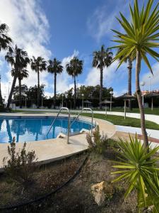 ウエルバにあるElSoldeLolaのヤシの木が背景に浮かぶスイミングプール