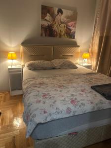 a bedroom with a bed and two lamps and a painting at Apartman S&V 2 Istocno Sarajevo Lukavica sa Jacuzzi Lux Spa Hilandarska Centar in Lukavica