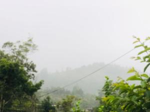 Fotografie z fotogalerie ubytování Ella Mist Bungalow v destinaci Bandarawela