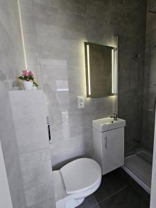 a white bathroom with a toilet and a shower at Rooms Hop To Wrocław in Czerńczyce