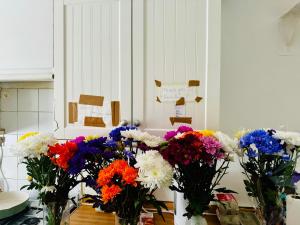 Fotografie z fotogalerie ubytování JJ Apartments v destinaci Govan