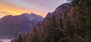 Una montaña con árboles y una puesta de sol al fondo. en Apartment Brina, en Kranjska Gora