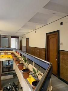 a row of tables with plants on them in a room at Hotel Shiv Parvati International, Solapur in Solapur