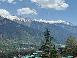 Фотография из галереи Hotel Alpine Himalayan View , Manali By The Premium Villa в Манали +116 фотографий