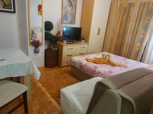 a bedroom with a bed and a tv and a couch at Apartmani GS ***** Zavidovici in Zavidovići