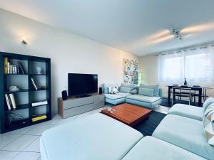 TV a/nebo společenská místnost v ubytování Le Gré d Argent grande maison au cœur des vignes