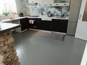 Kuchyňa alebo kuchynka v ubytovaní Apartman Antonić M