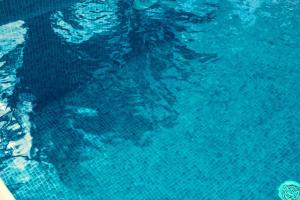 Billede fra billedgalleriet på Villa Francisca i Sa Caleta