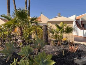 a house with palm trees in front of it at Bungalow Golf del Sur in San Miguel de Abona