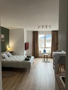 バンスコにあるBansko Gondola Apartのベッドと大きな窓のある寝室