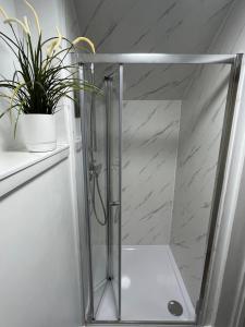 eine Dusche mit Glastür und eine Pflanze auf einem Regal in der Unterkunft Loft studio apartment, BL, Town Centre, Secure gated parking option, Modern, fresh and spacious living, Netflix ready TV, Wifi in Wellingborough