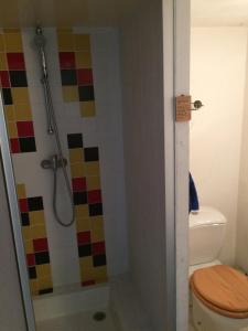 un bagno con doccia e WC di Villa Surprise ad Arcachon Altre 19 foto