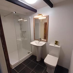 a bathroom with a toilet and a sink and a shower at The Old Post Office in Coverack +36 photos