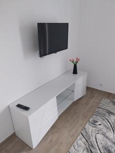 TV a/nebo společenská místnost v ubytování Apartmani Miletić