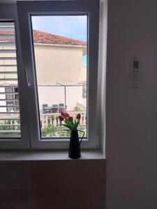 Fotografie z fotogalerie ubytování Apartmani Miletić v destinaci Jelsa