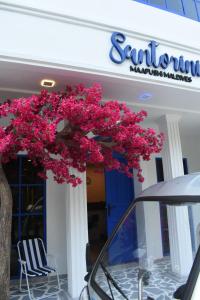Fotografie z fotogalerie ubytování Santorini Maafushi Maldives v Maafushi