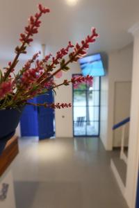 Fotografie z fotogalerie ubytování Santorini Maafushi Maldives v Maafushi