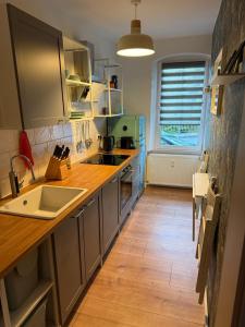 a kitchen with a sink and a counter top at Ferienwohnung Lucy - Moderne Ferienwohnung mit kostenlosem Parkplatz, Terrasse, nahe Bad Schandau und Malerweg in Bad Schandau