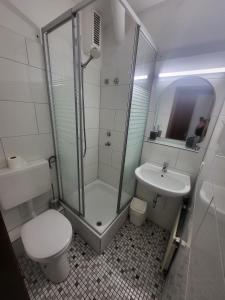 a bathroom with a shower and a toilet and a sink at Boardinghouse-Aparthotel mit Parkplatz Küche WIFI in Bielefeld