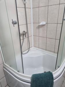 Koupelna v ubytování Casa Antonia