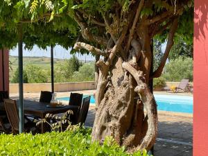 un tavolo e sedie accanto a un albero accanto a una piscina di Deluxe Bedroom in Farmhouse, Swimming Pool, By TimeCooler a Sobral de Monte Agraço