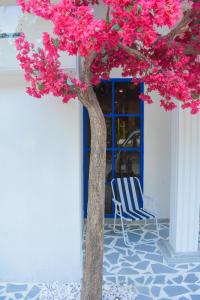 Fotografie z fotogalerie ubytování Santorini Maafushi Maldives v Maafushi