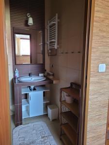 a bathroom with a sink and a mirror at Pokoje Gościnne u Stasi in Mielno +23 photos