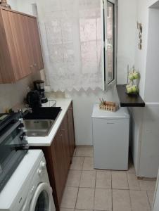 a small kitchen with a sink and a dishwasher at Alice apartment in Mesochórion