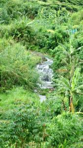 Paesaggio naturale nelle vicinanze dell'appartamento