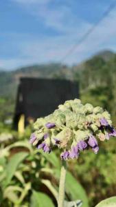 Paesaggio naturale nelle vicinanze dell'appartamento