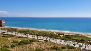 an aerial view of a beach and the ocean at INFINITY View Amazing Beachfront Apartment in Arenales del Sol