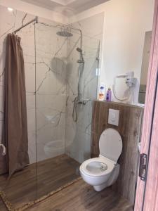 a bathroom with a toilet and a glass shower at Hotel Berati in Prizren